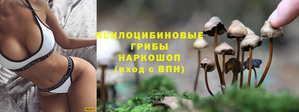 spice Козельск