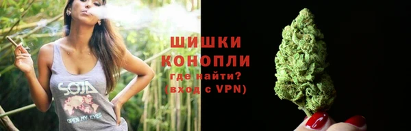 PSILOCYBIN Кодинск