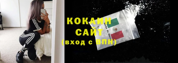 PSILOCYBIN Корсаков