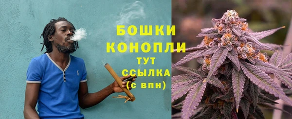 spice Козельск