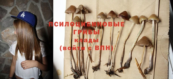 MDMA Premium VHQ Козловка