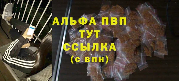 spice Козельск